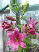 Foto: Dr. Peter Müller